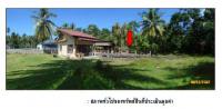 ที่ดินพร้อมสิ่งปลูกสร้างหลุดจำนอง ธ.ธนาคารกรุงไทย สุราษฎร์ธานี เกาะสมุย ตลิ่งงาม