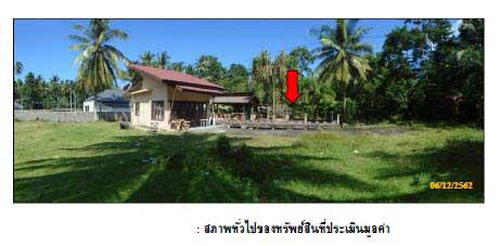 ที่ดินพร้อมสิ่งปลูกสร้างหลุดจำนอง ธ.ธนาคารกรุงไทย สุราษฎร์ธานี เกาะสมุย ตลิ่งงาม