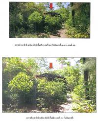 ที่ดินพร้อมสิ่งปลูกสร้างหลุดจำนอง ธ.ธนาคารกรุงไทย สุราษฎร์ธานี กาญจนดิษฐ์ ท่าทอง
