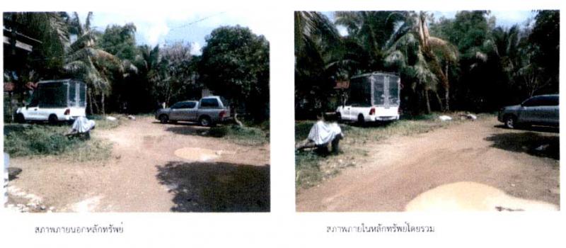 ที่ดินเปล่าหลุดจำนอง ธ.ธนาคารกรุงไทย สุราษฎร์ธานี เกาะสมุย ลิปะน้อย