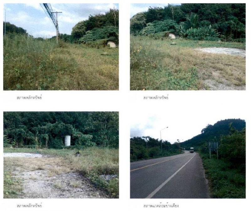 ที่ดินเปล่าหลุดจำนอง ธ.ธนาคารกรุงไทย สุราษฎร์ธานี พนม คลองชะอุ่น