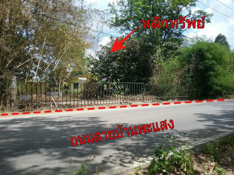 ที่ดินพร้อมสิ่งปลูกสร้างหลุดจำนอง ธ.ธนาคารกรุงไทย สุราษฎร์ธานี บ้านตาขุน พะแสง