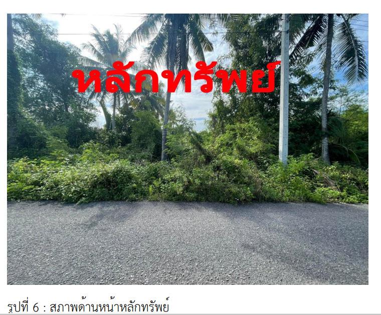 ที่ดินเปล่าหลุดจำนอง ธ.ธนาคารกรุงไทย สุราษฎร์ธานี เมืองสุราษฎร์ธานี คลองฉนาก