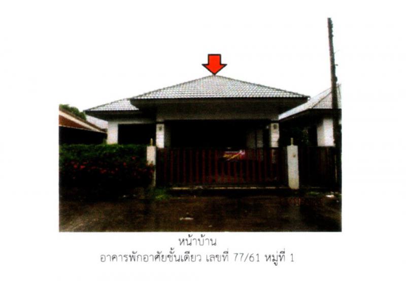 ที่ดินพร้อมสิ่งปลูกสร้างหลุดจำนอง ธ.ธนาคารออมสิน สุราษฎร์ธานี เมืองสุราษฎร์ธานี มะขามเตี้ย