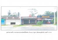ที่ดินพร้อมสิ่งปลูกสร้างหลุดจำนอง ธ.ธนาคารออมสิน สุราษฎร์ธานี พนม ต้นยวน