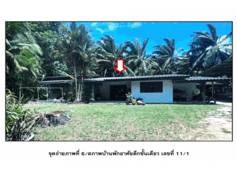 ที่ดินพร้อมสิ่งปลูกสร้างหลุดจำนอง ธ.ธนาคารออมสิน สุราษฎร์ธานี ท่าชนะ วัง