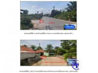 ที่ดินพร้อมสิ่งปลูกสร้างหลุดจำนอง ธ.ธนาคารออมสิน สุราษฎร์ธานี เมืองสุราษฎร์ธานี มะขามเตี้ย