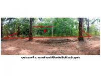 ที่ดินพร้อมสิ่งปลูกสร้างหลุดจำนอง ธ.ธนาคารออมสิน สุราษฎร์ธานี ท่าชนะ คันธุลี