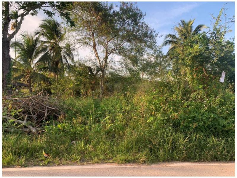 ที่ดินหลุดจำนอง ธ.ธนาคารออมสิน สุราษฎร์ธานี วิภาวดี -