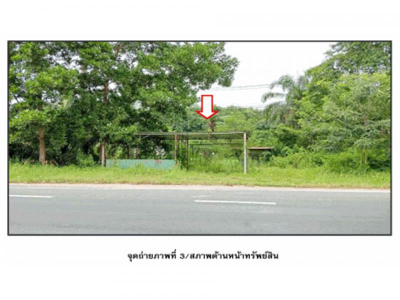 ที่ดินหลุดจำนอง ธ.ธนาคารออมสิน สุราษฎร์ธานี ท่าฉาง คลองไทร