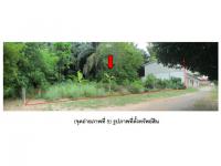 ที่ดินหลุดจำนอง ธ.ธนาคารออมสิน สุราษฎร์ธานี เมืองสุราษฎร์ธานี ขุนทะเล