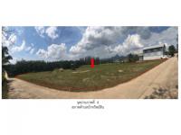 ที่ดินหลุดจำนอง ธ.ธนาคารออมสิน สุราษฎร์ธานี พนม ต้นยวน