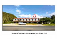 ที่ดินพร้อมสิ่งปลูกสร้างหลุดจำนอง ธ.ธนาคารออมสิน สุราษฎร์ธานี พนม ต้นยวน