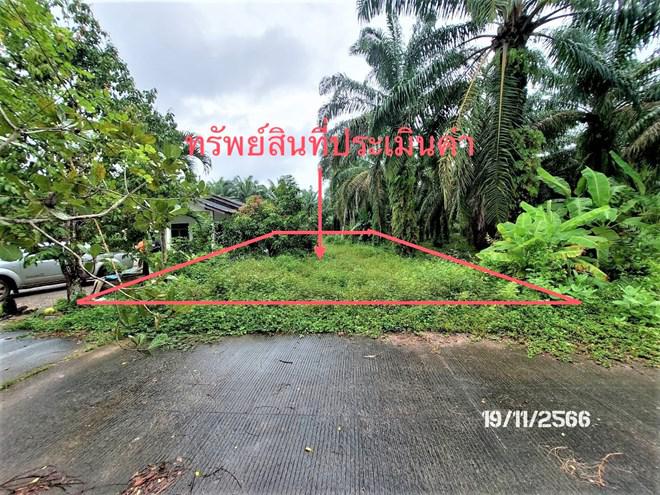 ที่ดินว่างเปล่าหลุดจำนอง ธ.ธนาคารกสิกรไทย สุราษฎร์ธานี ไชยา ป่าเว