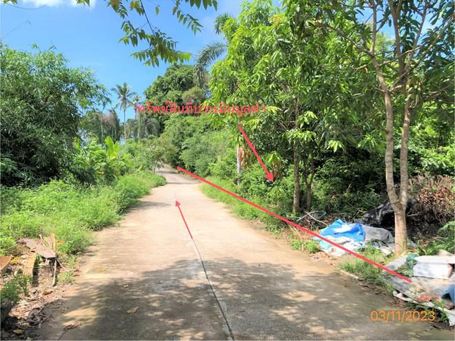 ที่ดินว่างเปล่าหลุดจำนอง ธ.ธนาคารกสิกรไทย สุราษฎร์ธานี เกาะสมุย ลิปะน้อย