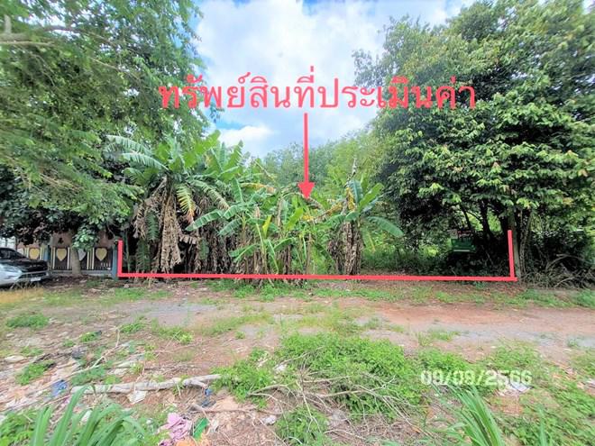 ที่ดินว่างเปล่าหลุดจำนอง ธ.ธนาคารกสิกรไทย สุราษฎร์ธานี เมืองสุราษฎร์ธานี ขุนทะเล