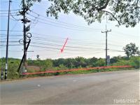 ที่ดินว่างเปล่าหลุดจำนอง ธ.ธนาคารกสิกรไทย สุราษฎร์ธานี ไชยา ป่าเว