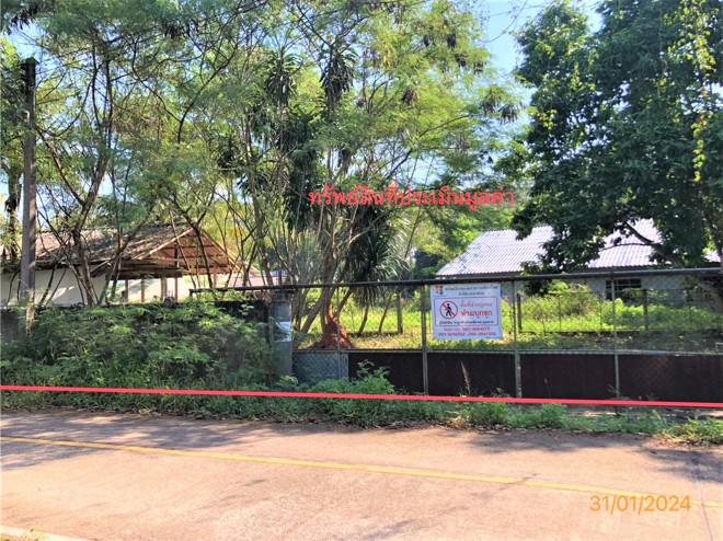 บ้านเดี่ยวหลุดจำนอง ธ.ธนาคารกสิกรไทย สุราษฎร์ธานี เมืองสุราษฎร์ธานี มะขามเตี้ย