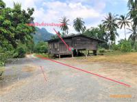 บ้านเดี่ยวหลุดจำนอง ธ.ธนาคารกสิกรไทย สุราษฎร์ธานี กาญจนดิษฐ์ คลองสระ