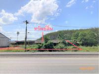 บ้านเดี่ยวหลุดจำนอง ธ.ธนาคารกสิกรไทย สุราษฎร์ธานี พนม คลองชะอุ่น