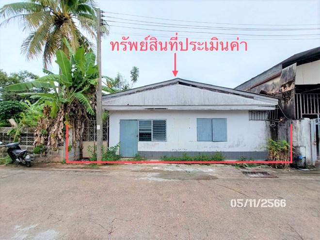 บ้านเดี่ยวหลุดจำนอง ธ.ธนาคารกสิกรไทย สุราษฎร์ธานี เมืองสุราษฎร์ธานี มะขามเตี้ย