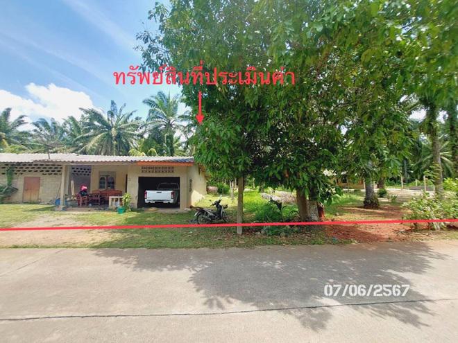 บ้านเดี่ยวหลุดจำนอง ธ.ธนาคารกสิกรไทย สุราษฎร์ธานี พระแสง ไทรโสภา