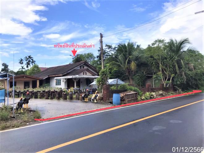 บ้านเดี่ยวหลุดจำนอง ธ.ธนาคารกสิกรไทย สุราษฎร์ธานี บ้านนาสาร ทุ่งเตา