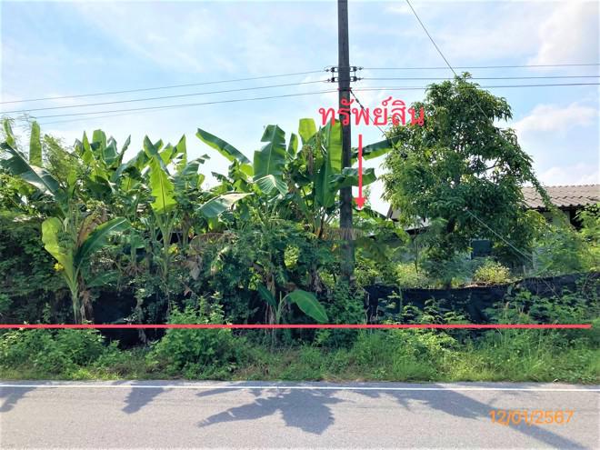บ้านเดี่ยวหลุดจำนอง ธ.ธนาคารกสิกรไทย สุราษฎร์ธานี กาญจนดิษฐ์ ท่าทอง