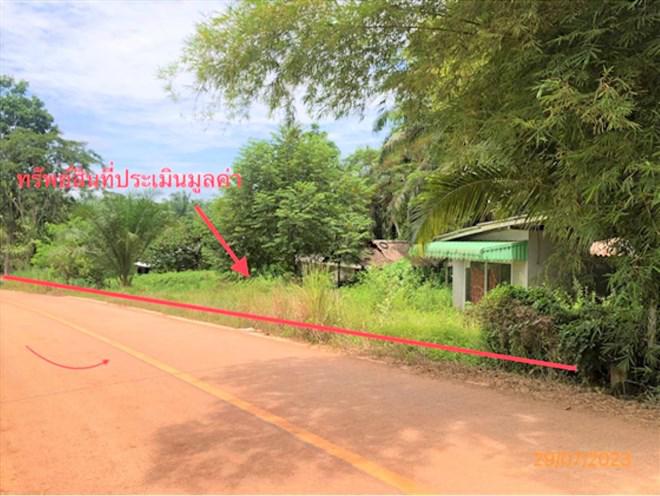 บ้านเดี่ยวหลุดจำนอง ธ.ธนาคารกสิกรไทย สุราษฎร์ธานี ชัยบุรี คลองน้อย