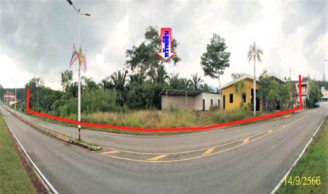 บ้านเดี่ยวหลุดจำนอง ธ.ธนาคารกสิกรไทย สุราษฎร์ธานี พนม ต้นยวน