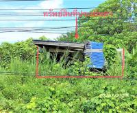อาคารพาณิชย์หลุดจำนอง ธ.ธนาคารกสิกรไทย สุราษฎร์ธานี พนม คลองชะอุ่น